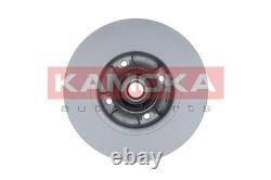 2x BRAKE DISC 1031135 FOR RENAULT CLIO/III/EURO/CAMPUS/Sportour/Grandtour 1.5L