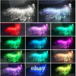 32W Dual Head Fiber Optic Star ceiling lights 400Pcs Mixed Fiber Optic BT APP