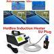 Free EU Plug Induction Heater Paintless Dent Repair Tools Auto Repair Dent