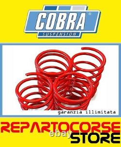 Kit 4 springs Trim CX Cobra 25mm renault clio c III RS Sport 2.0 16v TÜV