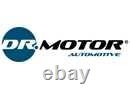Oil Cooler, Engine Oil Dr. Motor Automotive Drm181007 For Renault