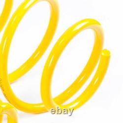 ST Lowering Springs 28290082 for RENAULT Clio coil sport springs