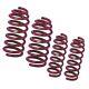 Vogtland lowering springs 951227 for Renault Clio