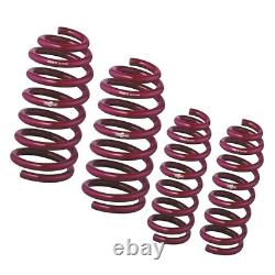 Vogtland sport lowering springs 951266 for Renault Clio